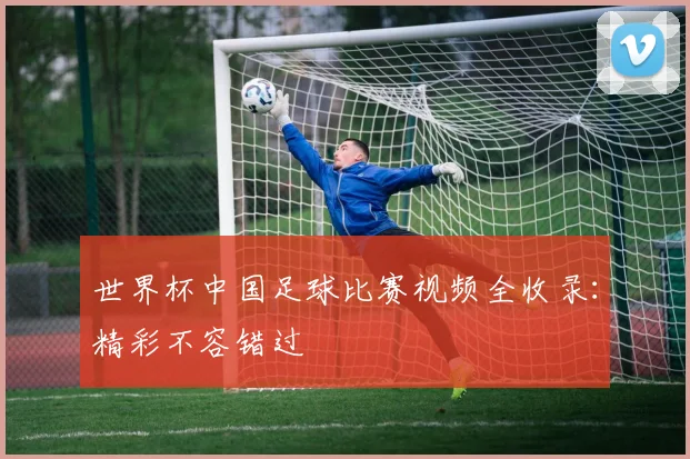 世界杯中国足球比赛视频全收录：精彩不容错过
