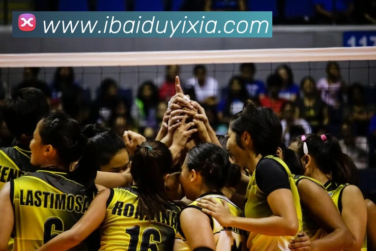 App Interface Preview