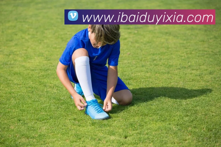 开云手机入口官方网站APP 封面图